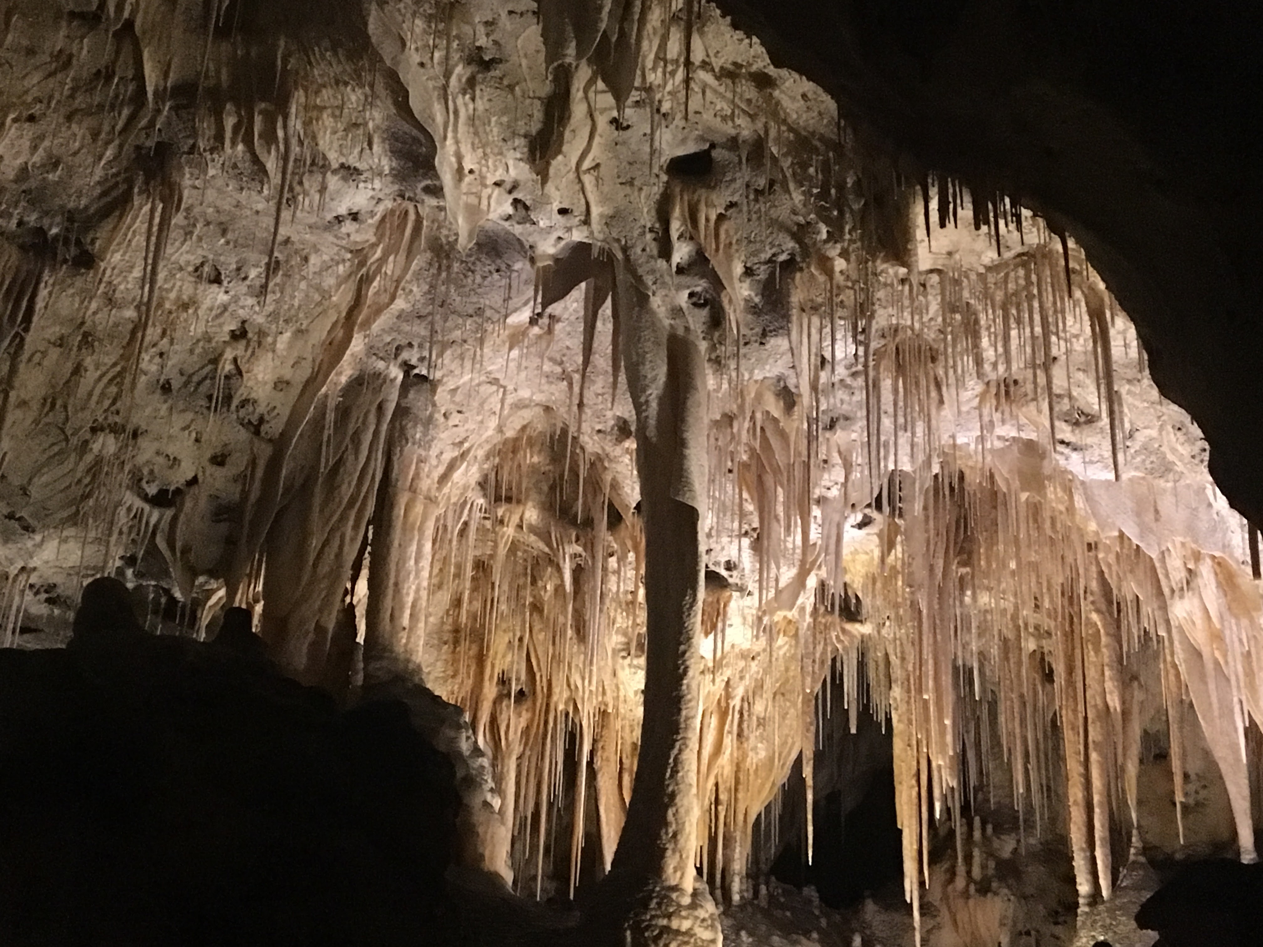 Carlsbad Caverns National Park