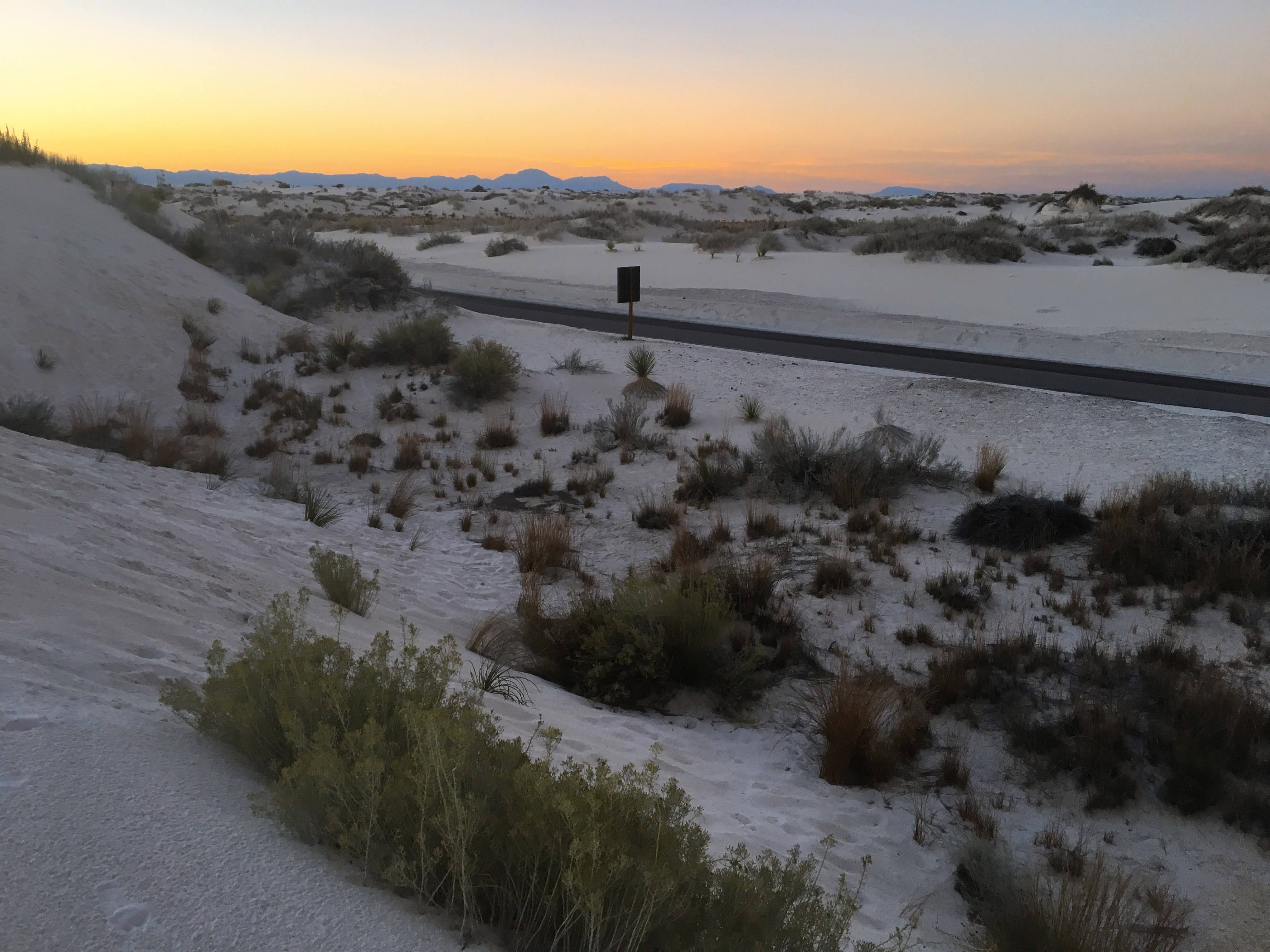Road through the dunes